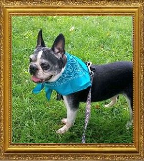 Ziggy Coulter 2005-2016